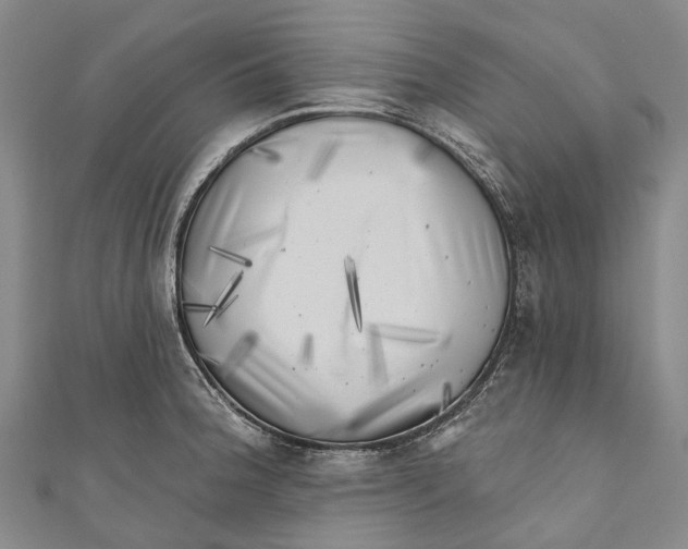 X0000111001188200907101445