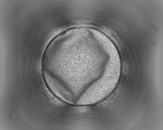 X0000111001189200907101445