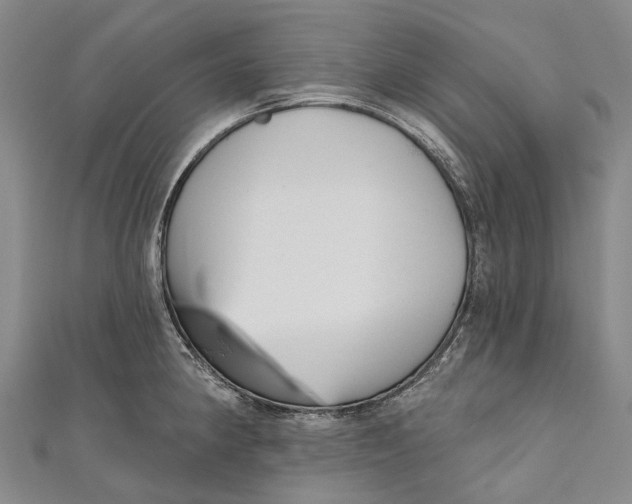 X0000111001190200907101445