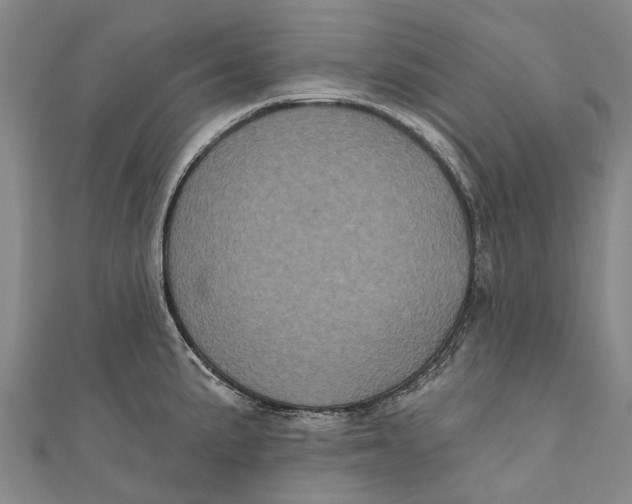 X0000111001191200907101445