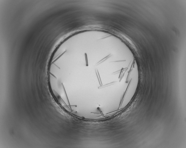 X0000111001192200907101445