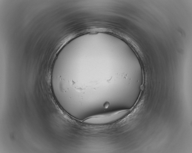 X0000111001193200907101445