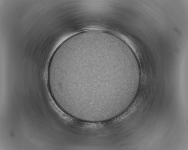 X0000111001195200907101445