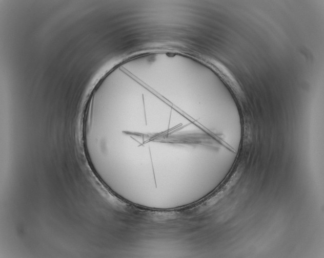 X0000111001196200907101445