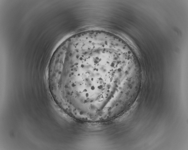 X0000111001198200907101445