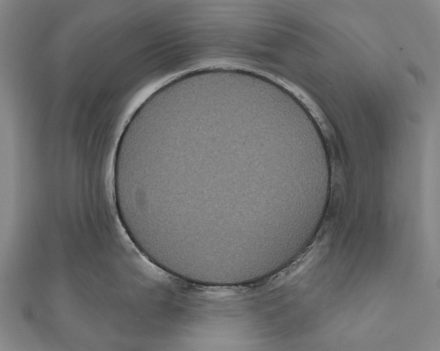 X0000111001199200907101445