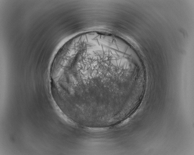 X0000111001200200907101445