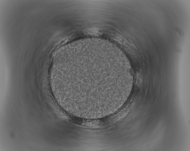 X0000111001201200907101444