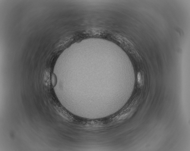 X0000111001203200907101444