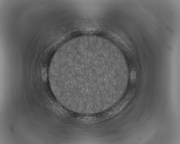 X0000111001204200907101444