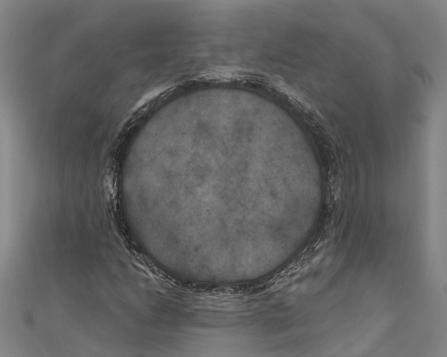 X0000111001206200907101444