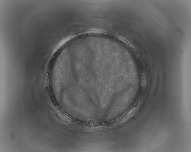 X0000111001208200907101444