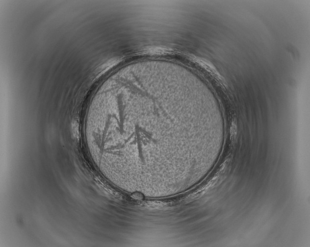 X0000111001209200907101444