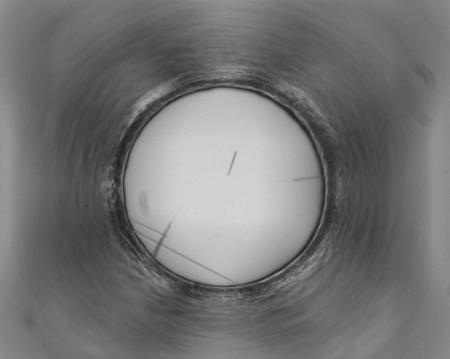 X0000111001210200907101444