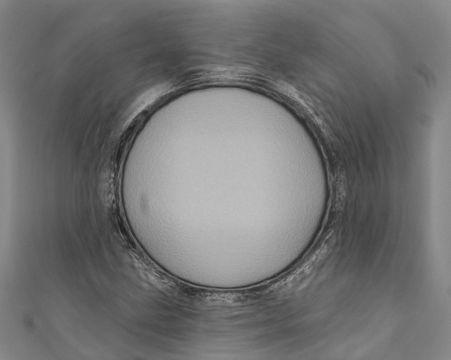 X0000111001211200907101444