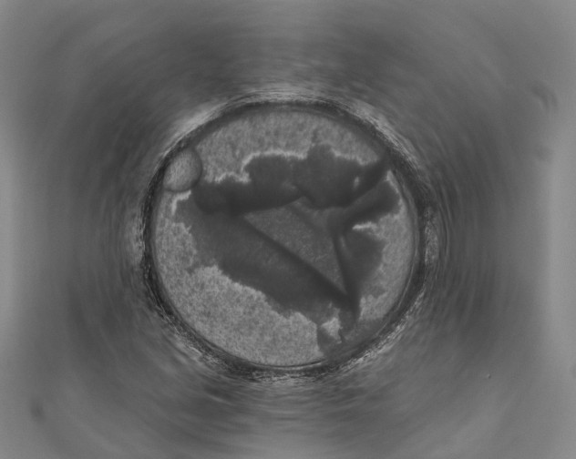 X0000111001213200907101445