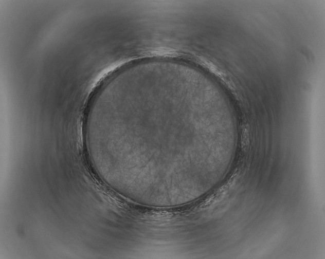 X0000111001214200907101445