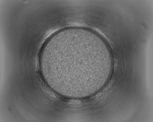 X0000111001215200907101445