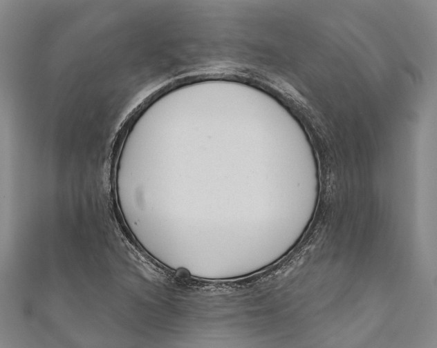 X0000111001216200907101445