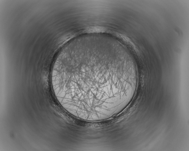 X0000111001217200907101445