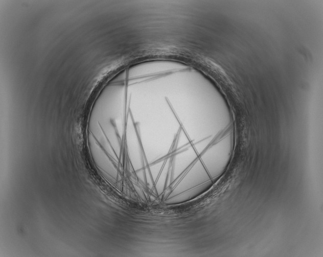 X0000111001218200907101445