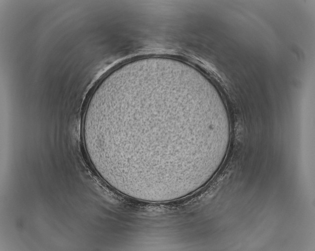 X0000111001220200907101445