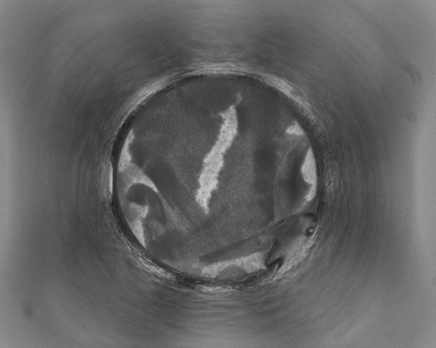 X0000111001221200907101445