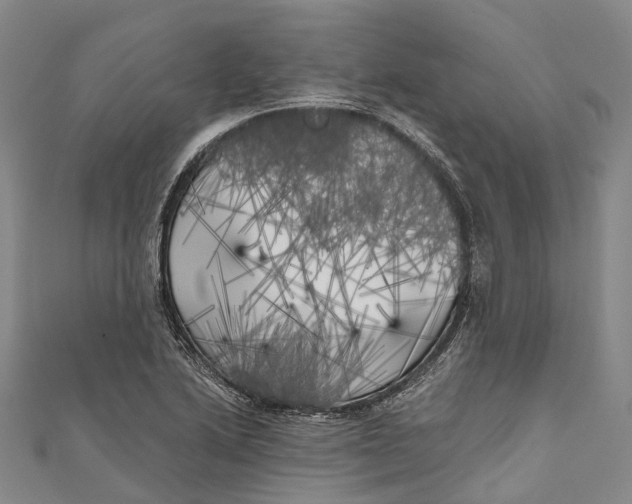 X0000111001222200907101445