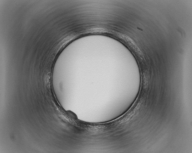 X0000111001225200907101445