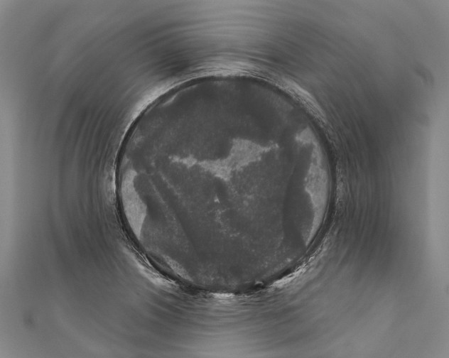 X0000111001226200907101445