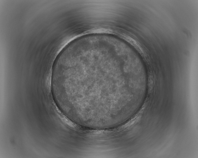 X0000111001228200907101445