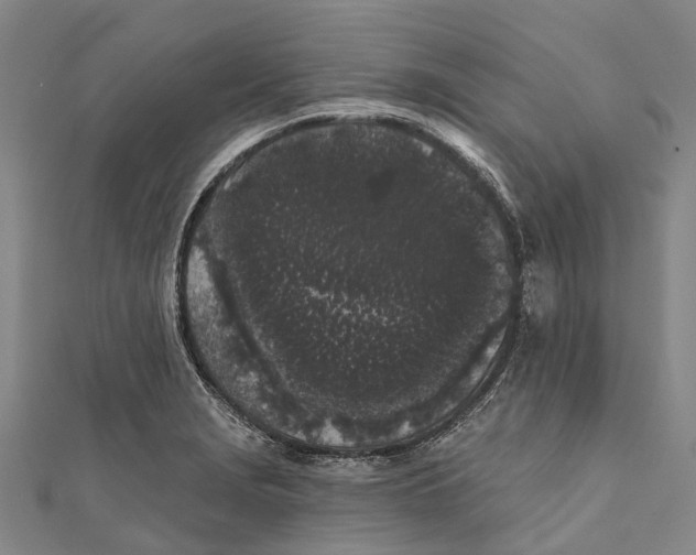 X0000111001229200907101445