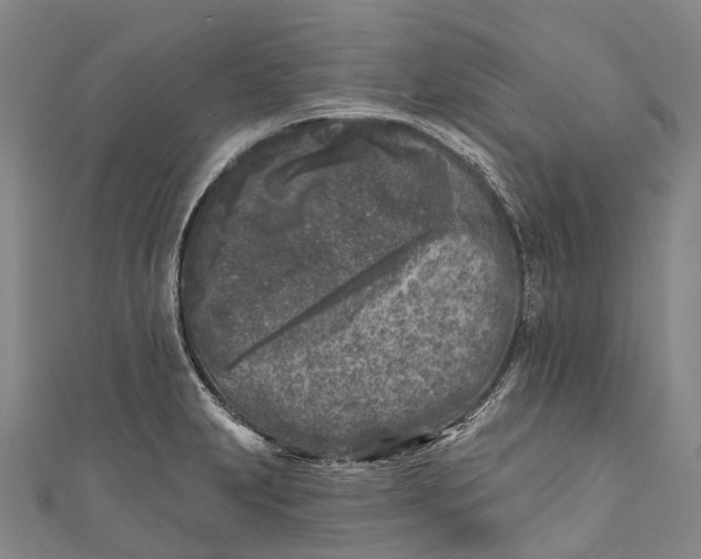 X0000111001231200907101445