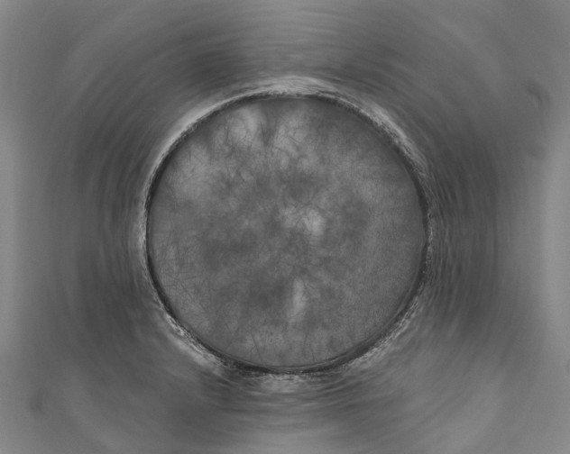 X0000111001232200907101445