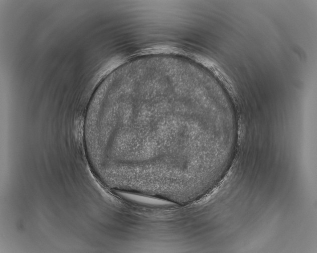 X0000111001233200907101445