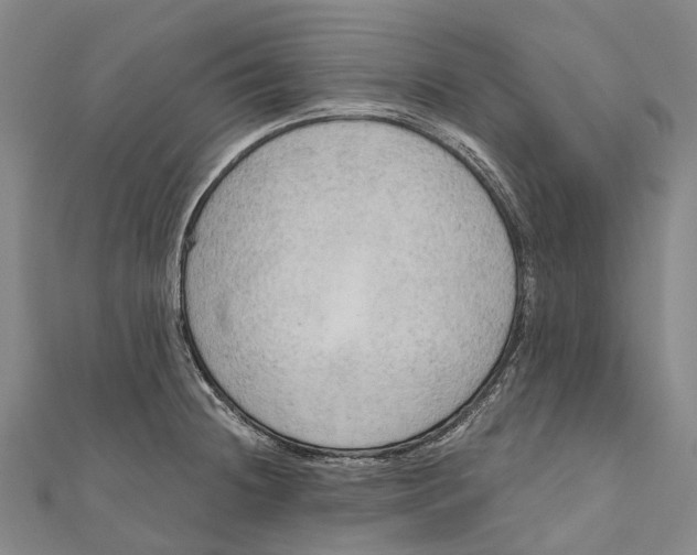 X0000111001236200907101445