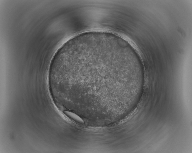 X0000111001237200907101445