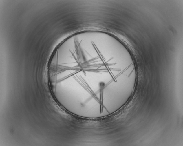 X0000111001238200907101445