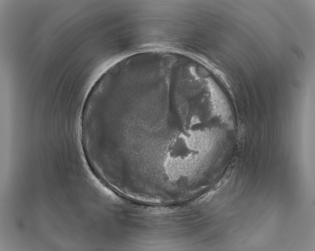 X0000111001239200907101445