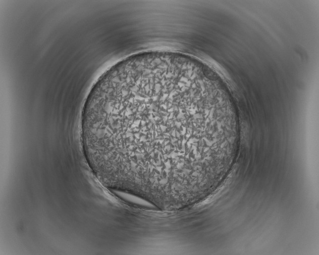 X0000111001240200907101445