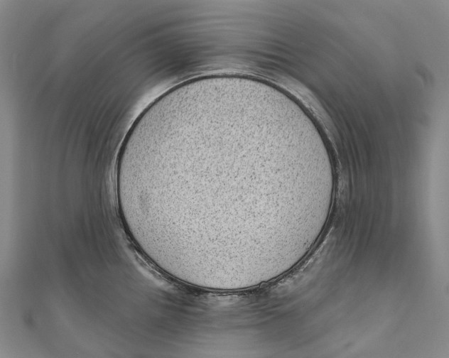 X0000111001242200907101445