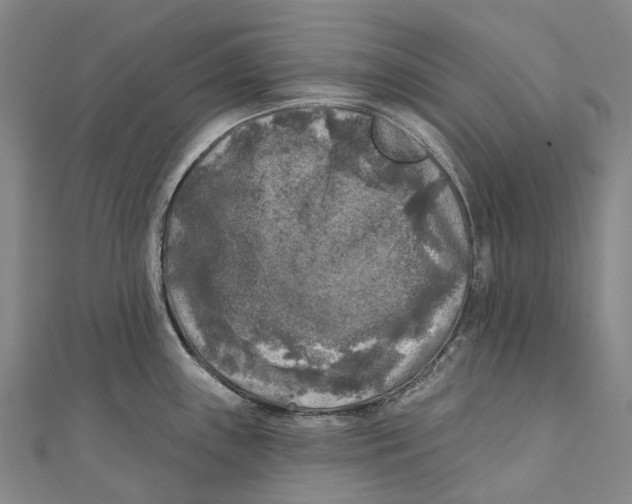 X0000111001243200907101445