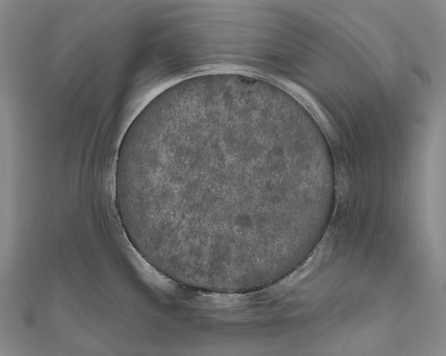 X0000111001244200907101445