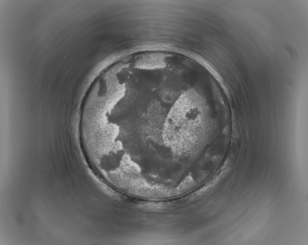 X0000111001245200907101445