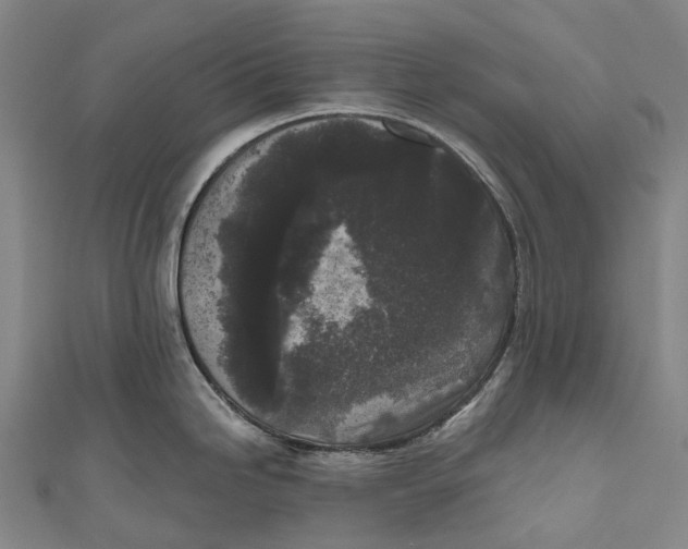 X0000111001246200907101445