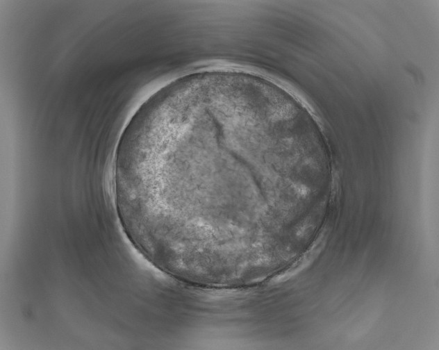 X0000111001247200907101445