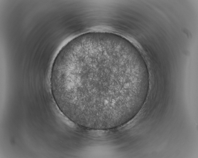 X0000111001248200907101445