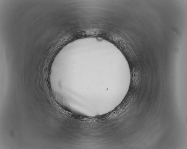 X0000111001249200907101444