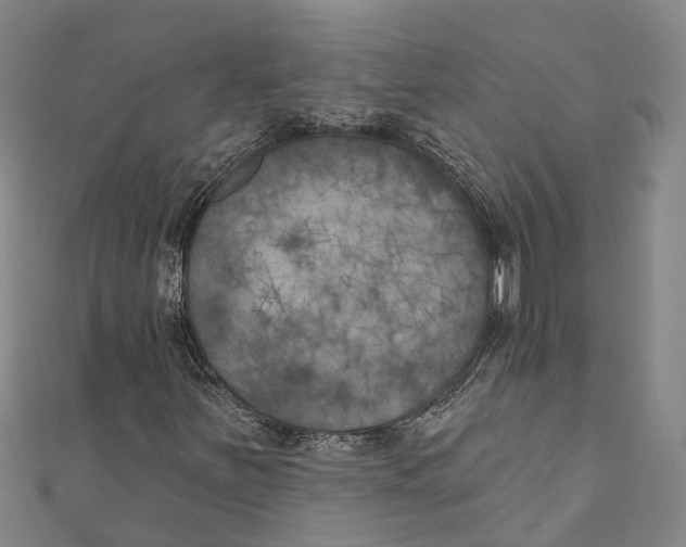 X0000111001251200907101444