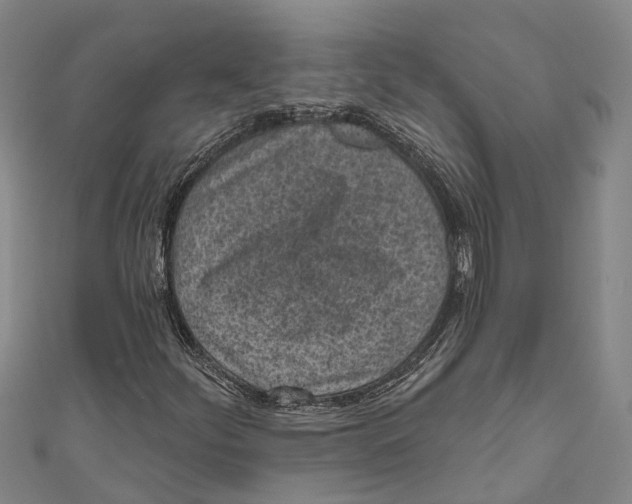 X0000111001252200907101444